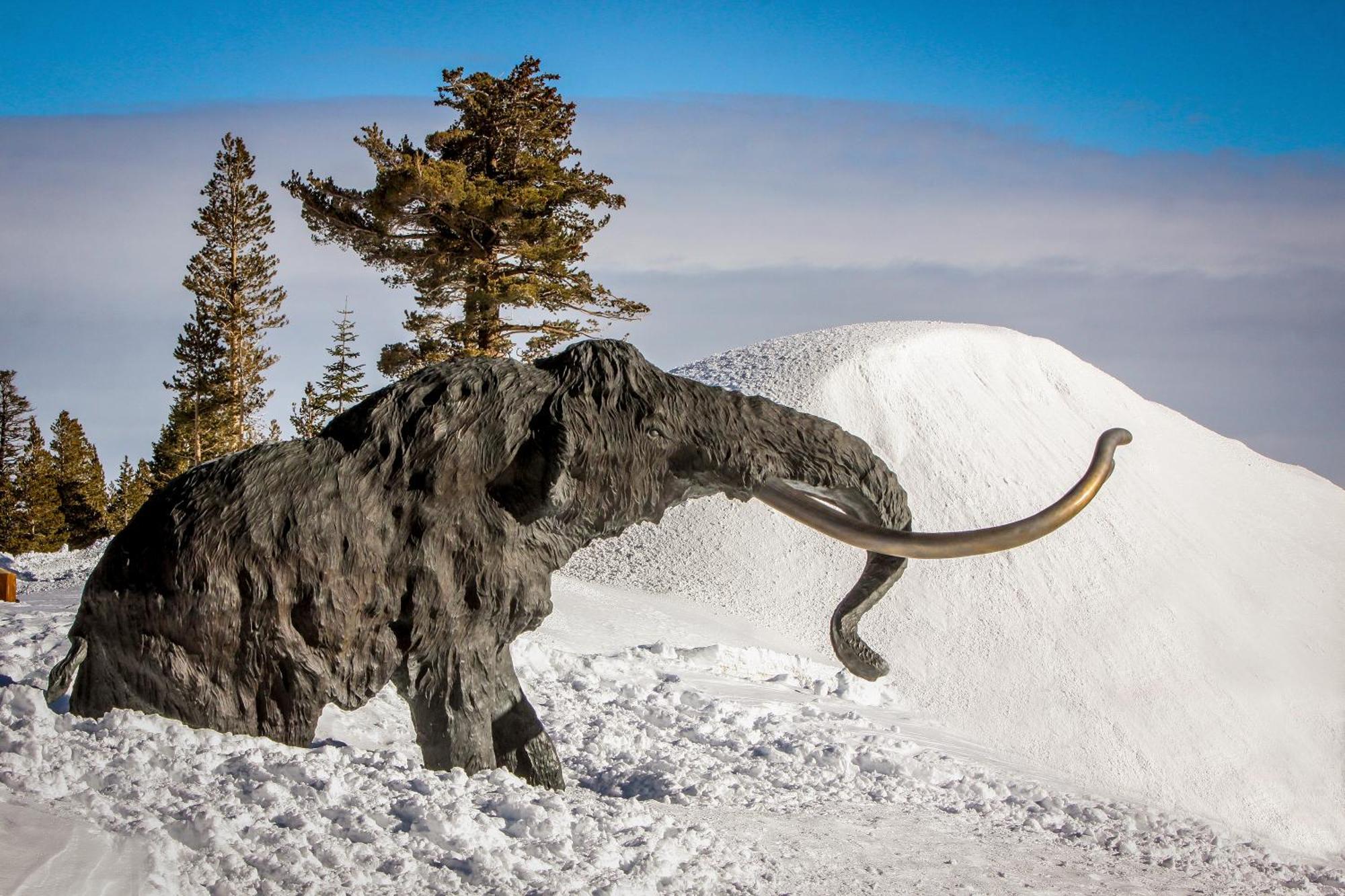 Hidden Valley Condominiums Mammoth Lakes Rum bild