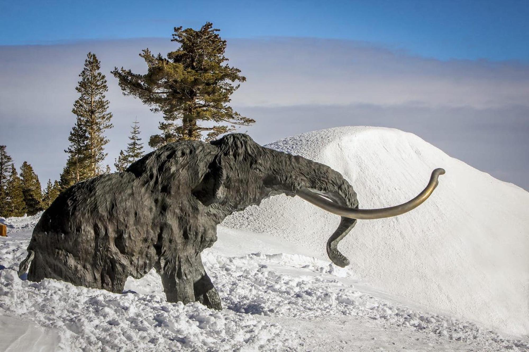 Hidden Valley Condominiums Mammoth Lakes Rum bild