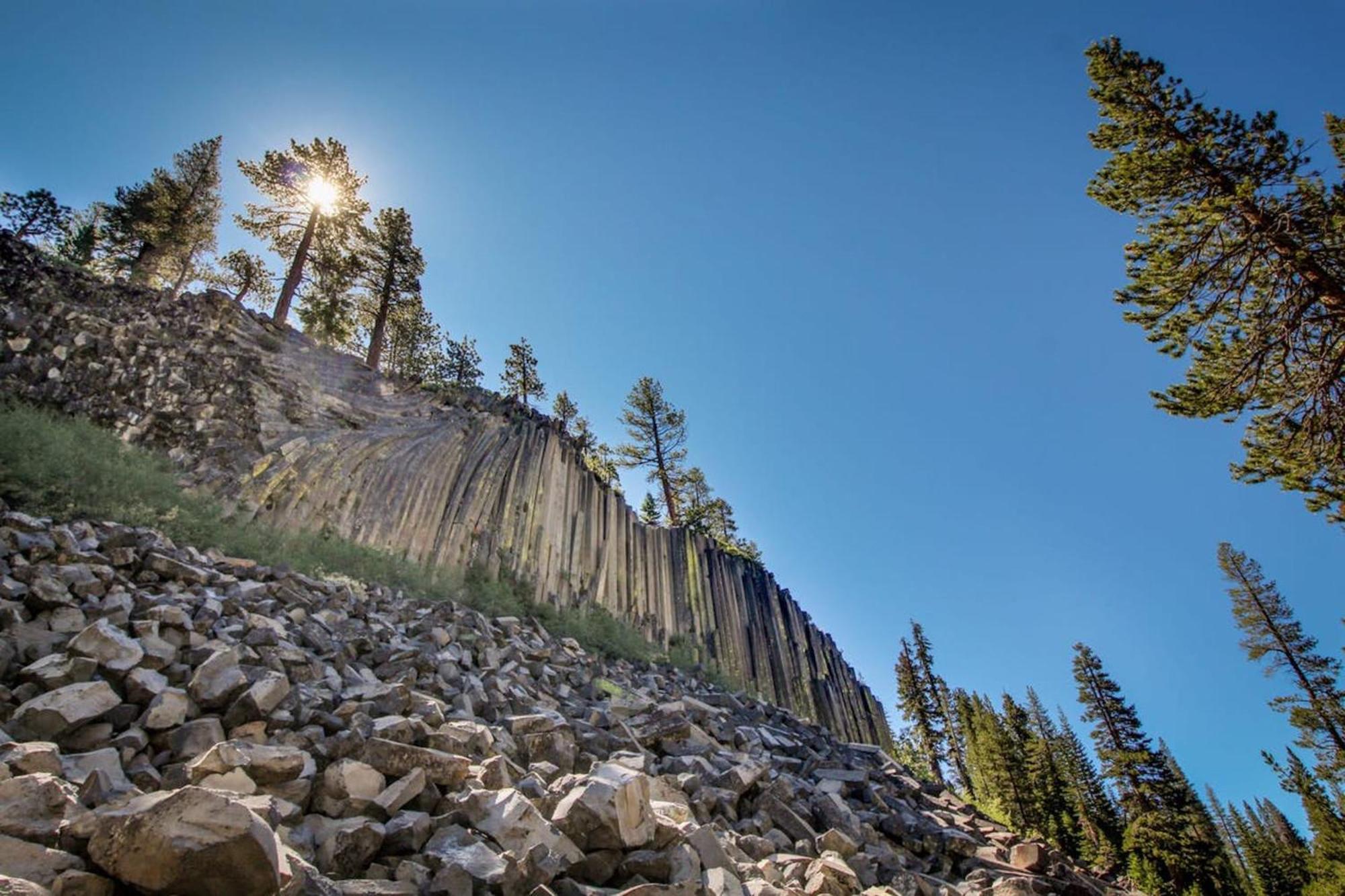 Hidden Valley Condominiums Mammoth Lakes Rum bild